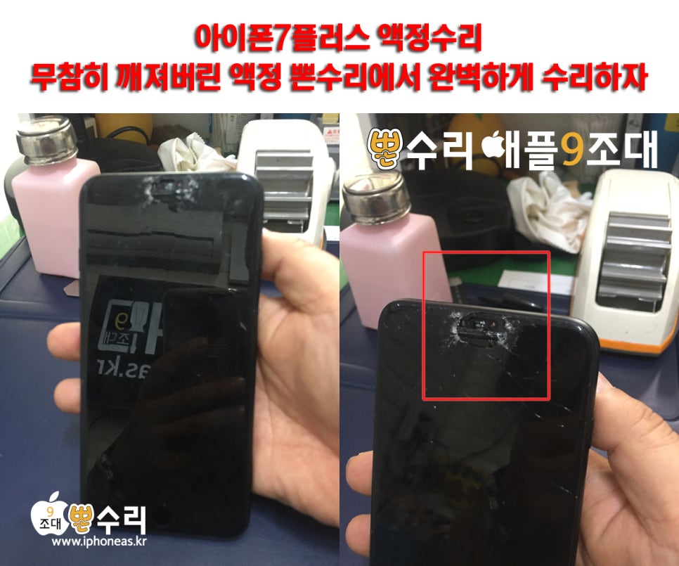 뽄수리 이미지