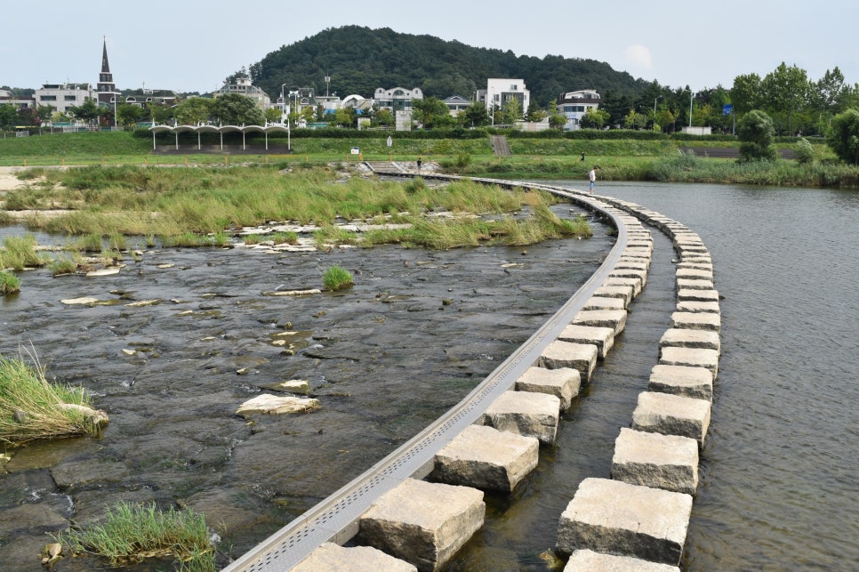 회춘당한약방 이미지