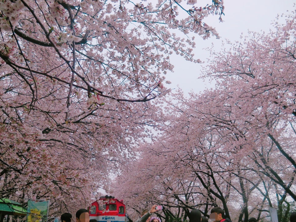 경화상회 이미지