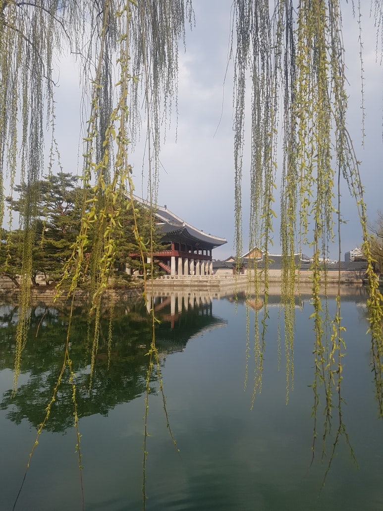 경복궁숯불갈비 이미지