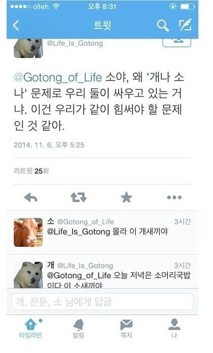 금송아지 이미지