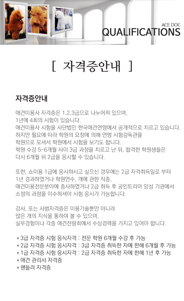 에이스애견미용학원 이미지