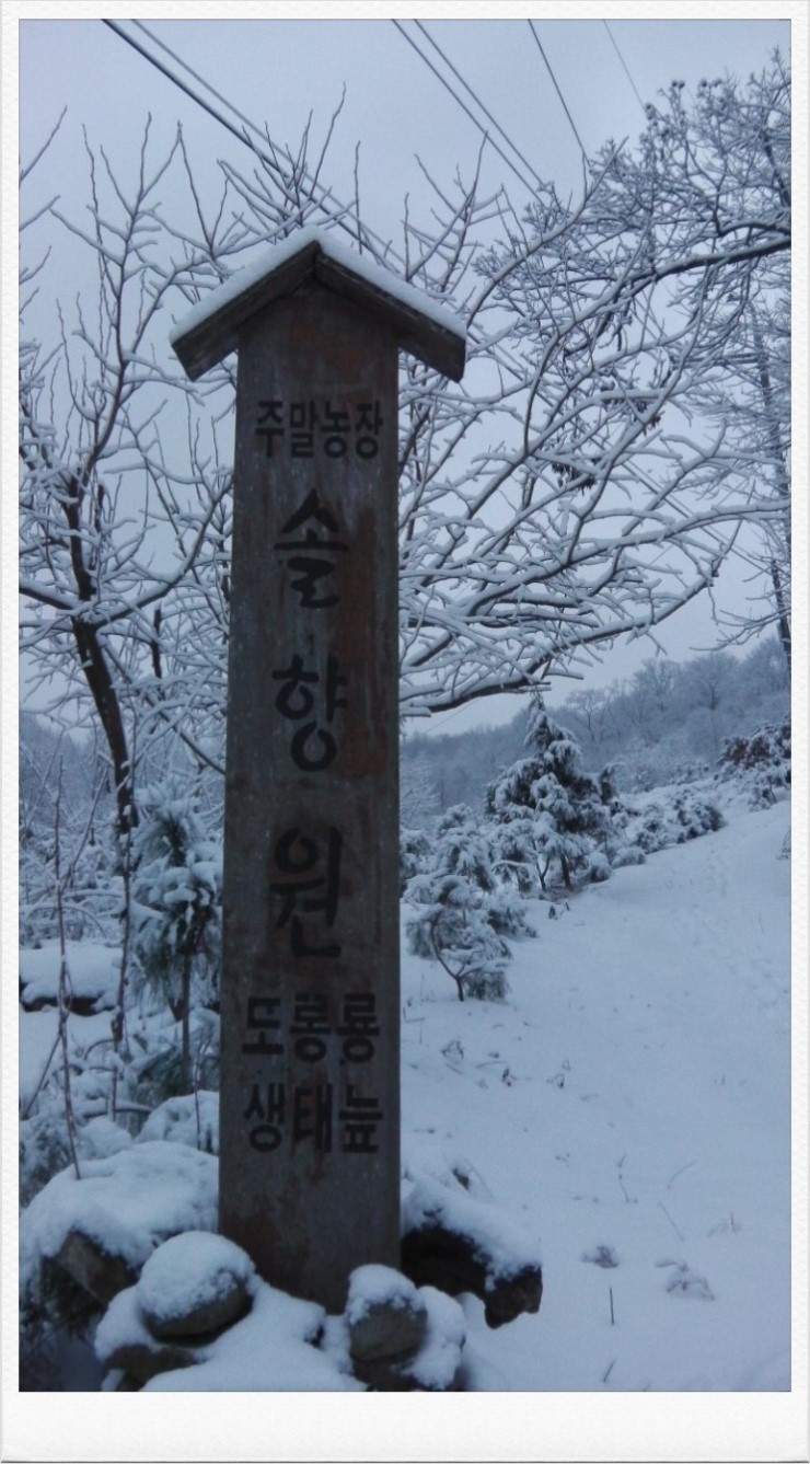 솔향원 이미지