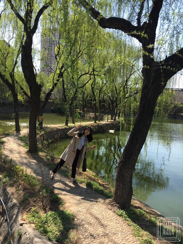 서안남 이미지