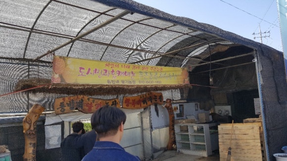 동빈네딸기체험 이미지