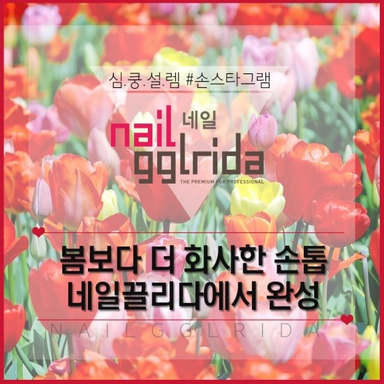 네일숑 이미지