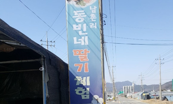 동빈네딸기체험 이미지