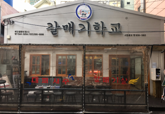 갈매기 학교 이미지