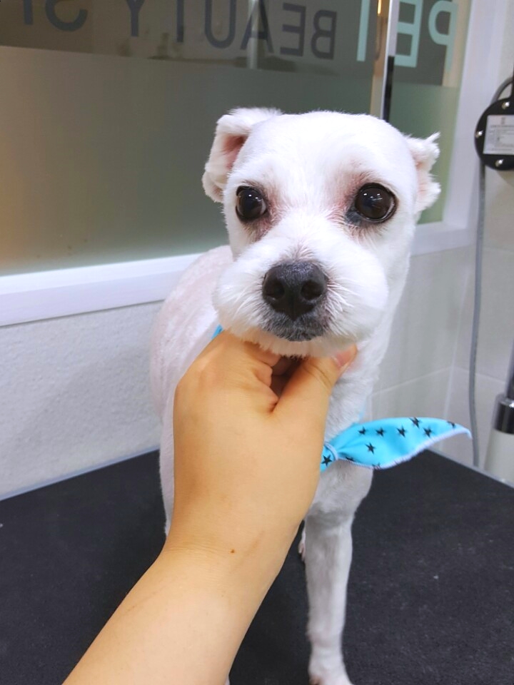 송정나무병원 이미지