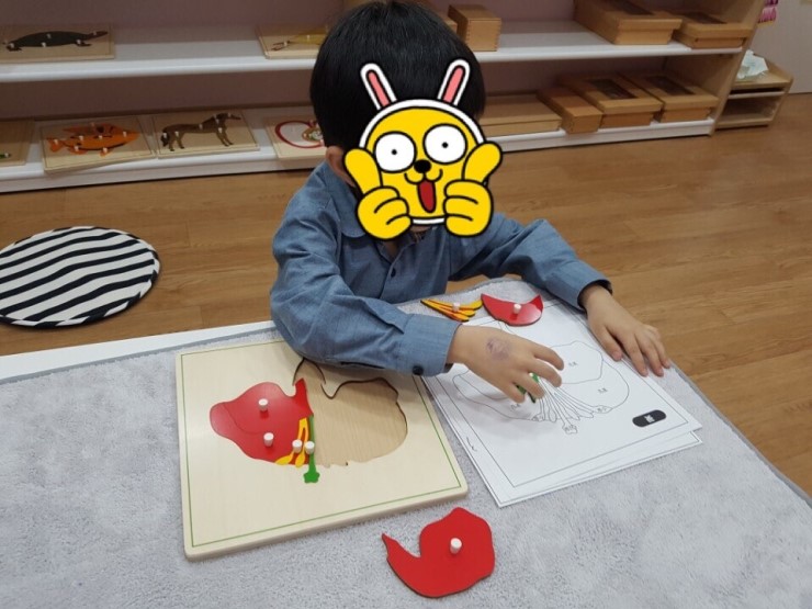 스콜라몬테소리 이미지