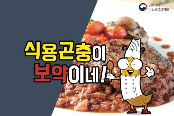 행복한 곤충 이미지