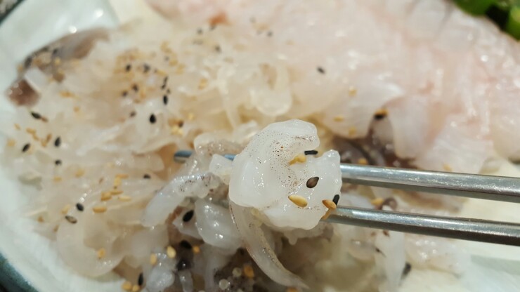 산오징어회와친구들 이미지