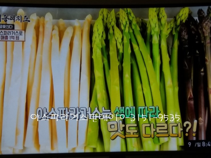 퍼플대동여지도 이미지