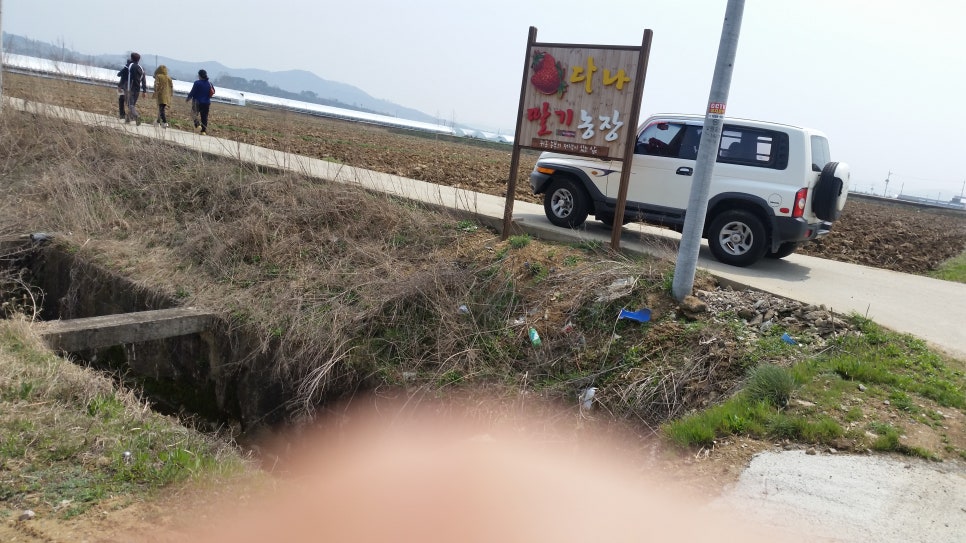 해를 품은 딸기농원 이미지