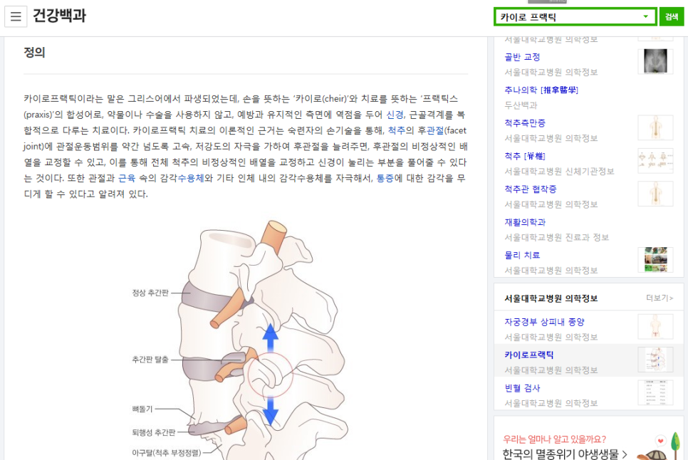 카이로바른척추교정 이미지