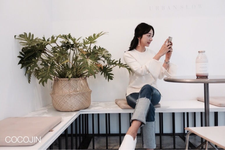 코코진 이미지