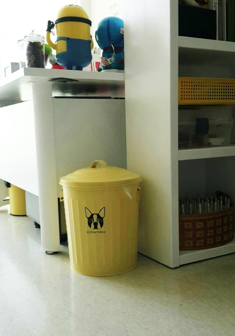 비바레몬 이미지