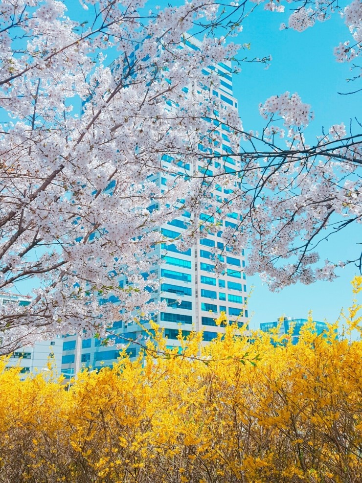 (주)대성씨앤씨 이미지