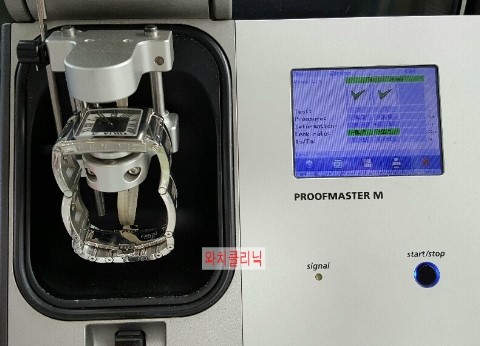 두리수선 이미지