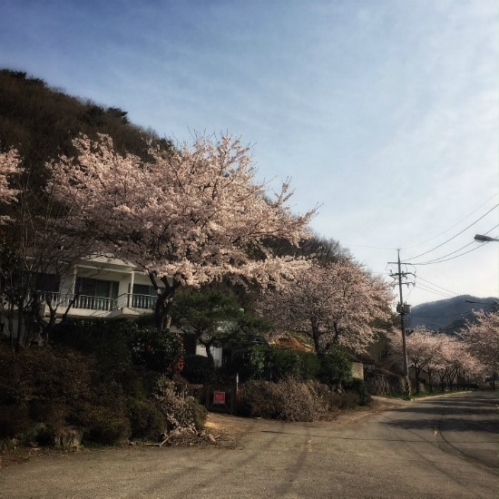 우리동네알뜰장터 이미지