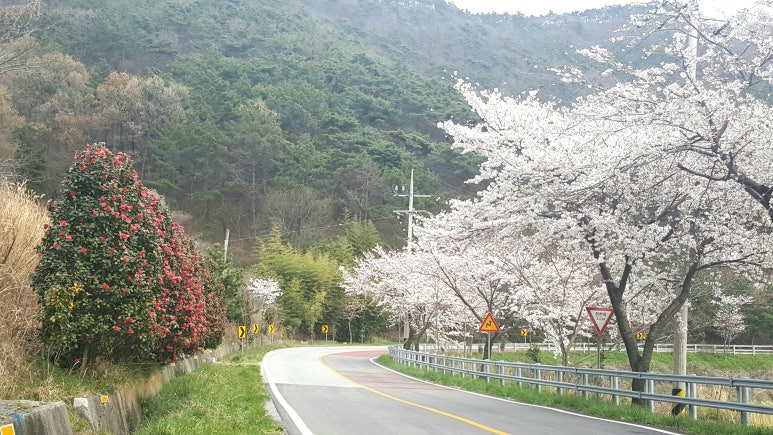 숙기토담 이미지
