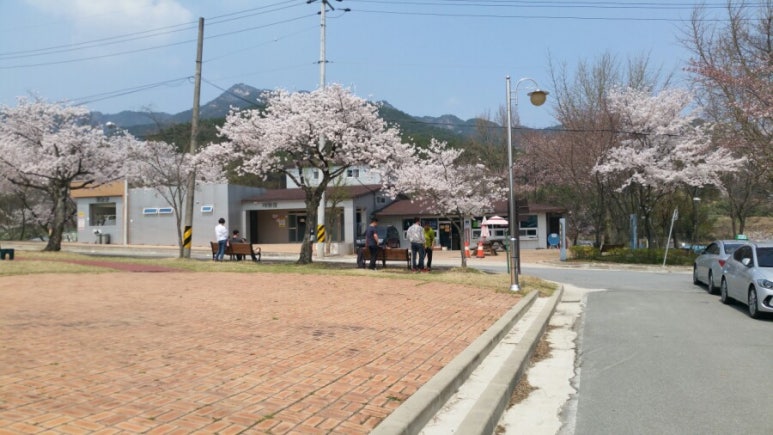 도림사오토캠핑리조트 이미지