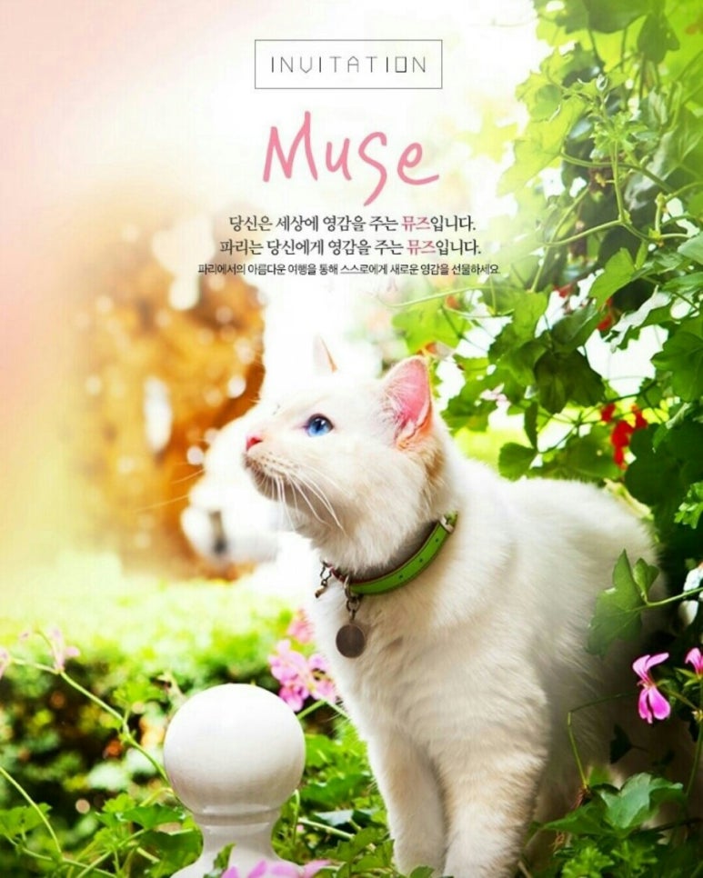 콘텐츄어주 이미지