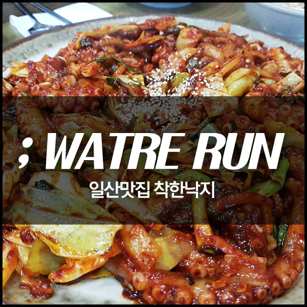 착한낙지 이미지