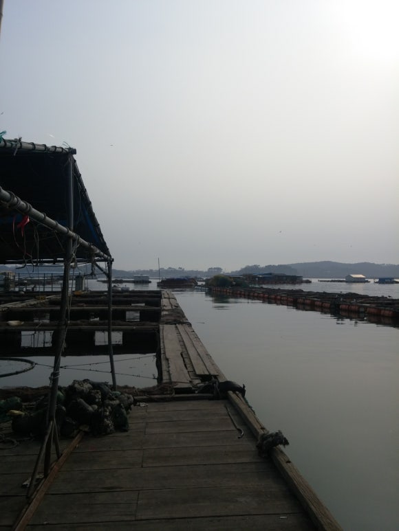 대일수산 이미지