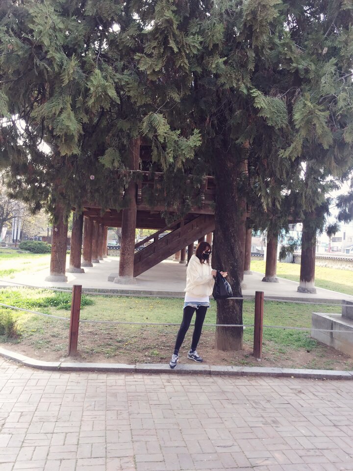 올리브곱창210 이미지