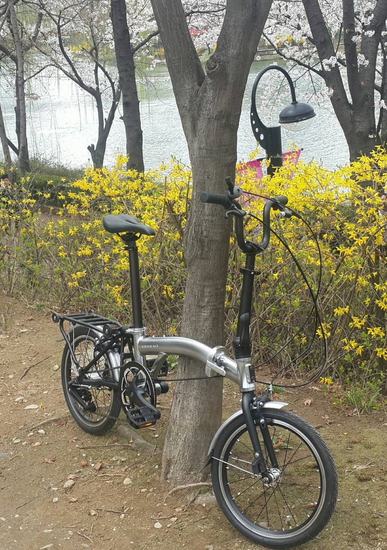 그루바이크 이미지