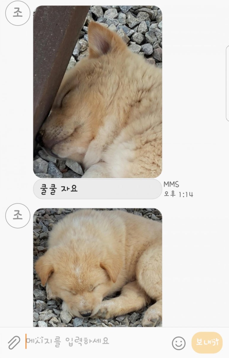 띵원 이미지