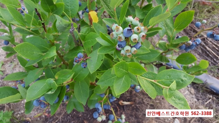 하얀피부과의원 이미지