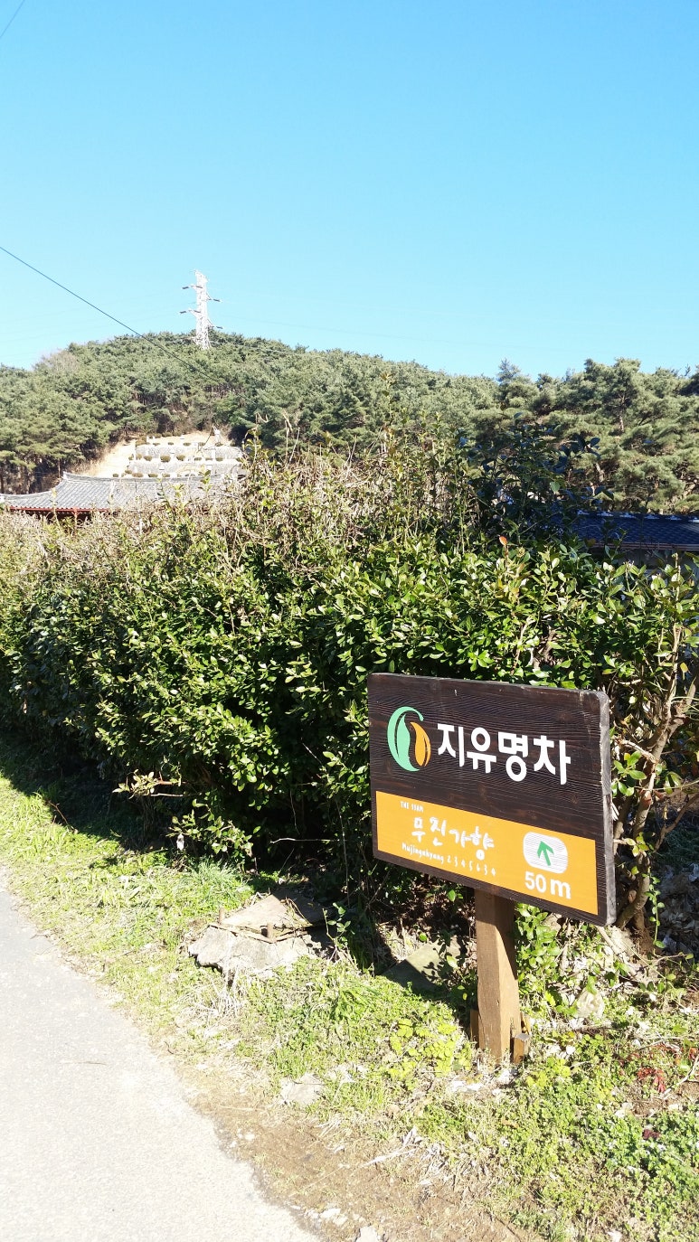 지유명차광주점 이미지