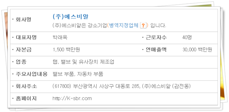 에스비알 이미지