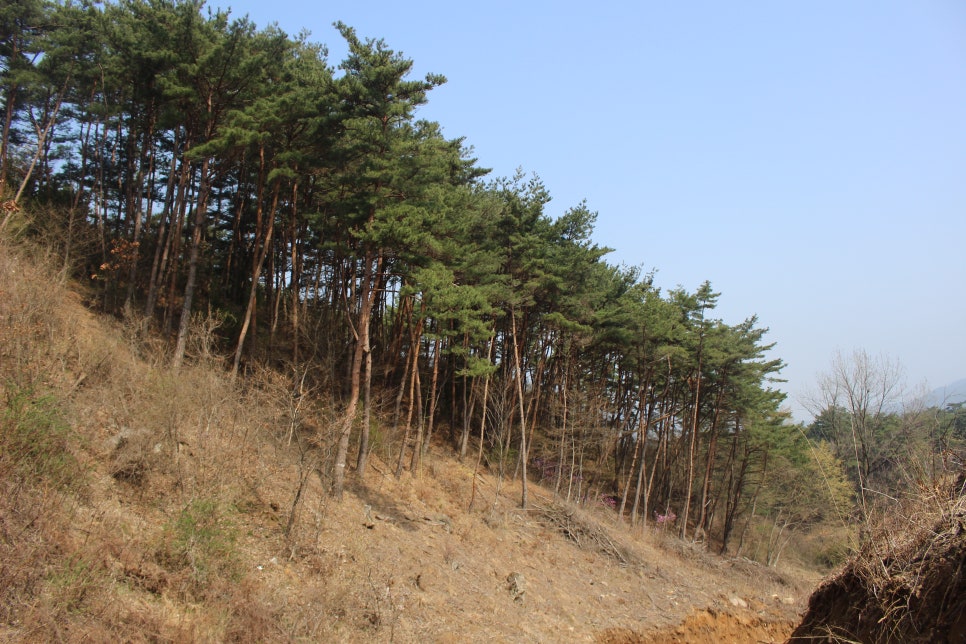 지리산 하늘농원 이미지