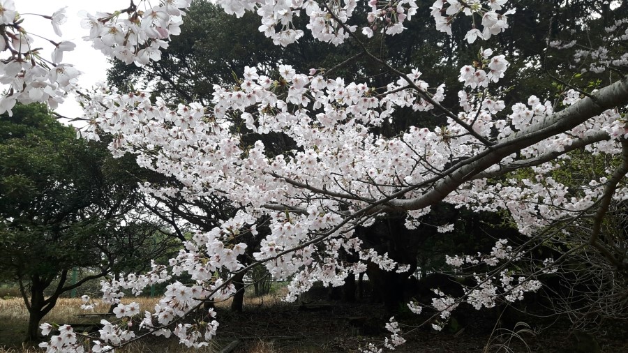 해동광고 이미지