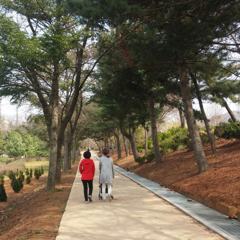 녹지관리사업소 이미지