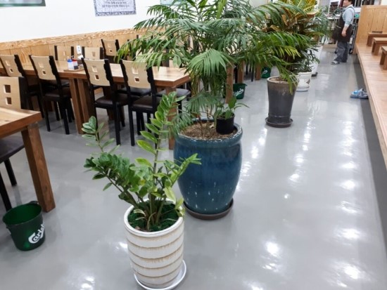 천마산메밀가 이미지