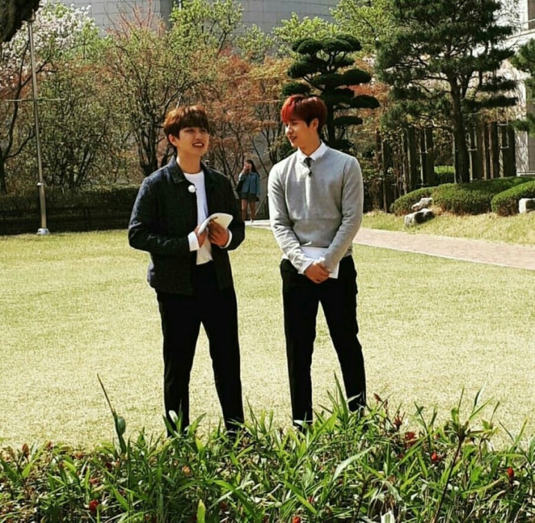 신우 이미지