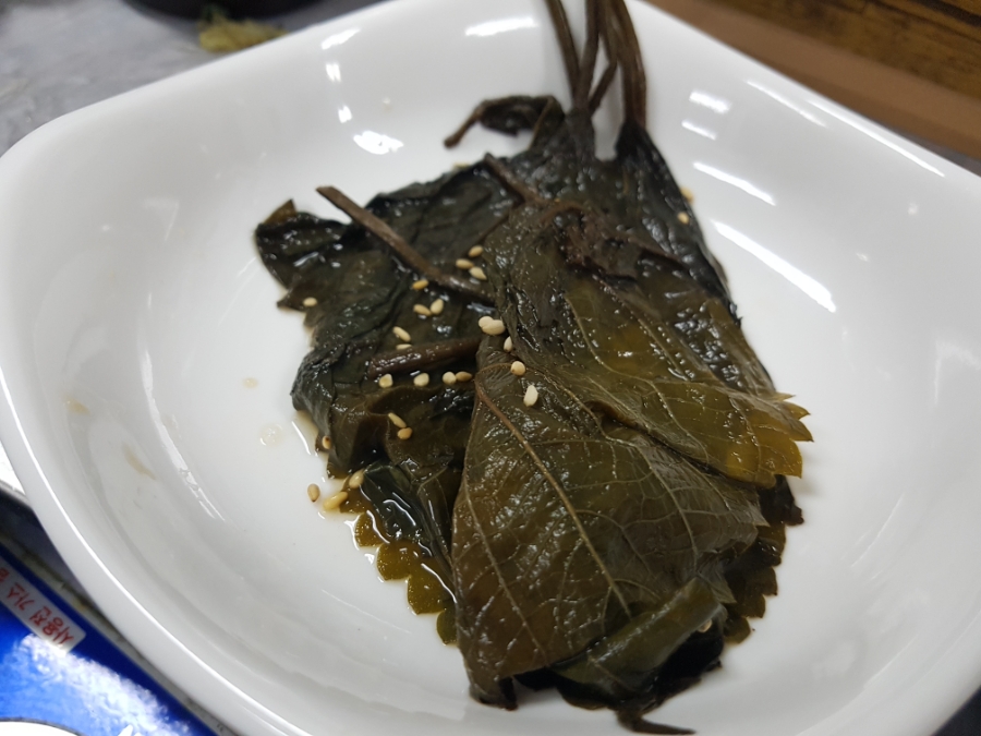 금빛선어 이미지