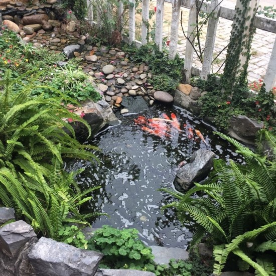 르카페(Le cafe) 이미지