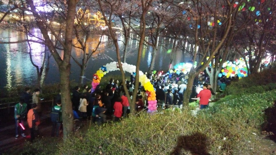 벚꽃풍선 이미지