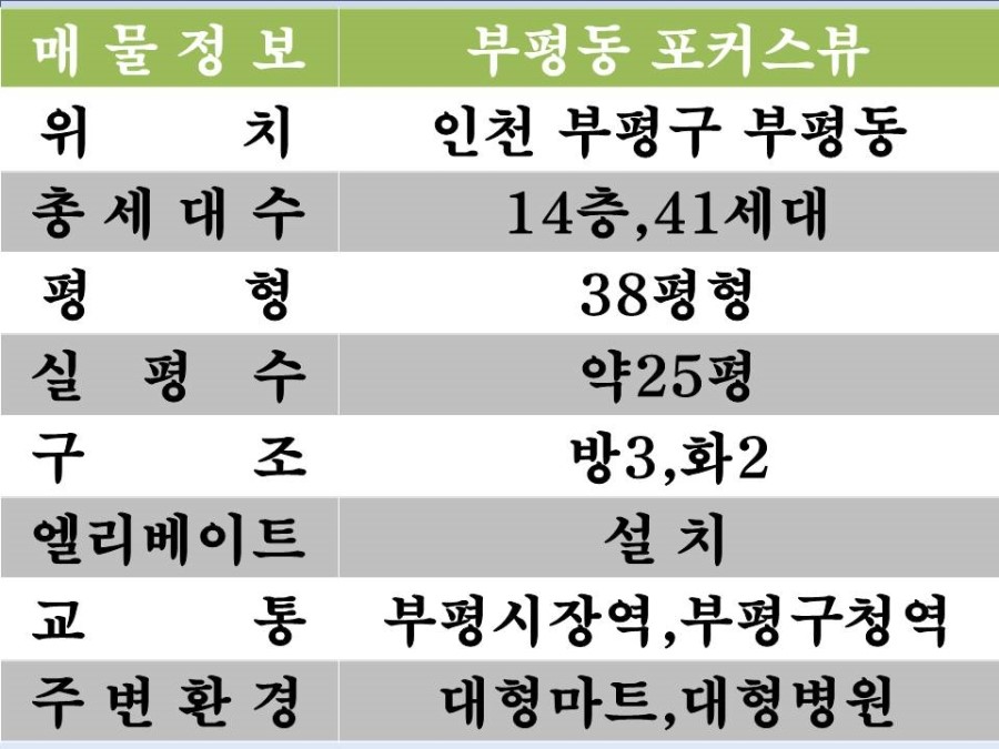 포커스41 이미지