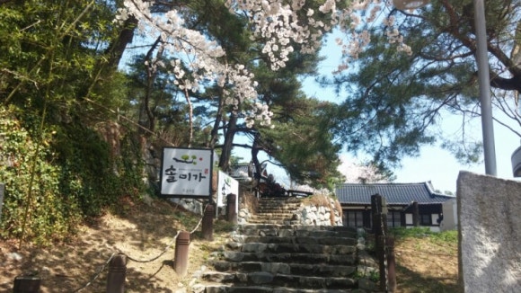 솔미식당 이미지