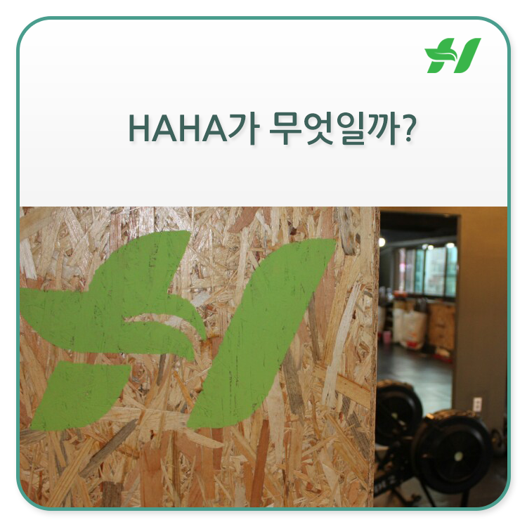 HAHA맞춤운동센터 이미지