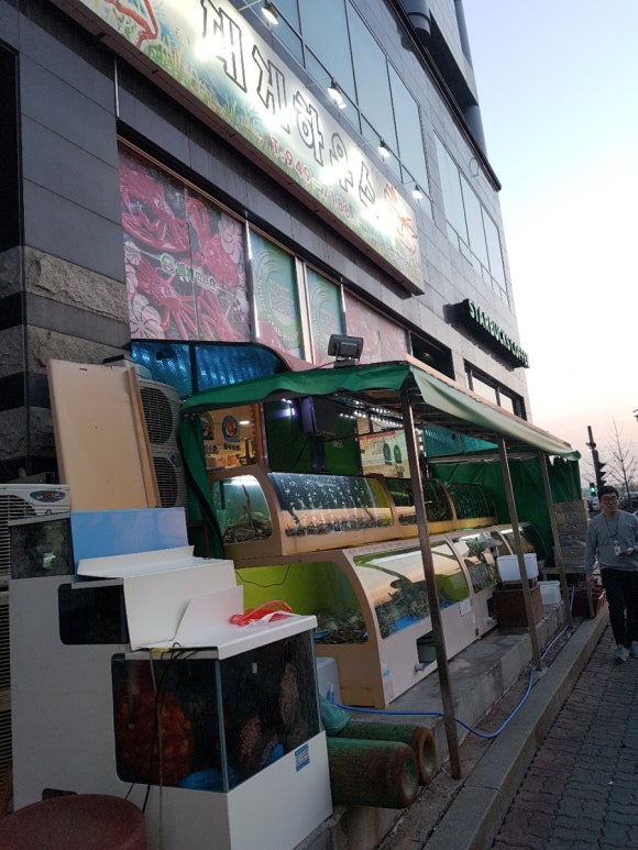 파주대게하우스 이미지