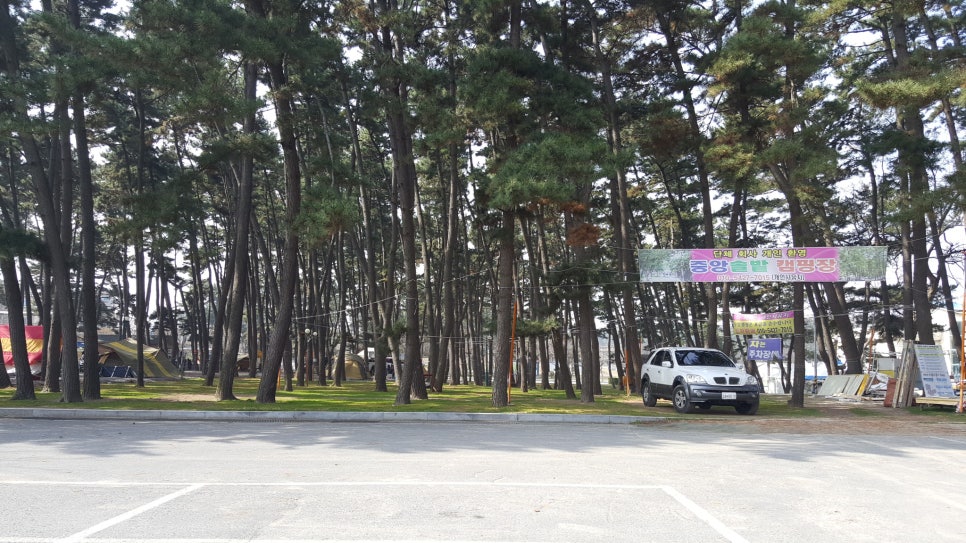 춘장대나드리캠핑장 이미지