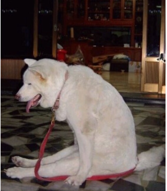 극동인테리어 이미지