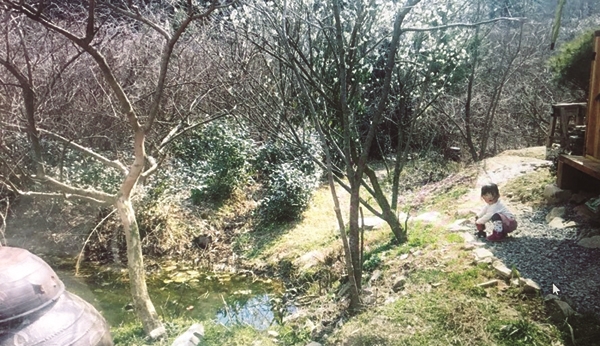더봄남도집 이미지